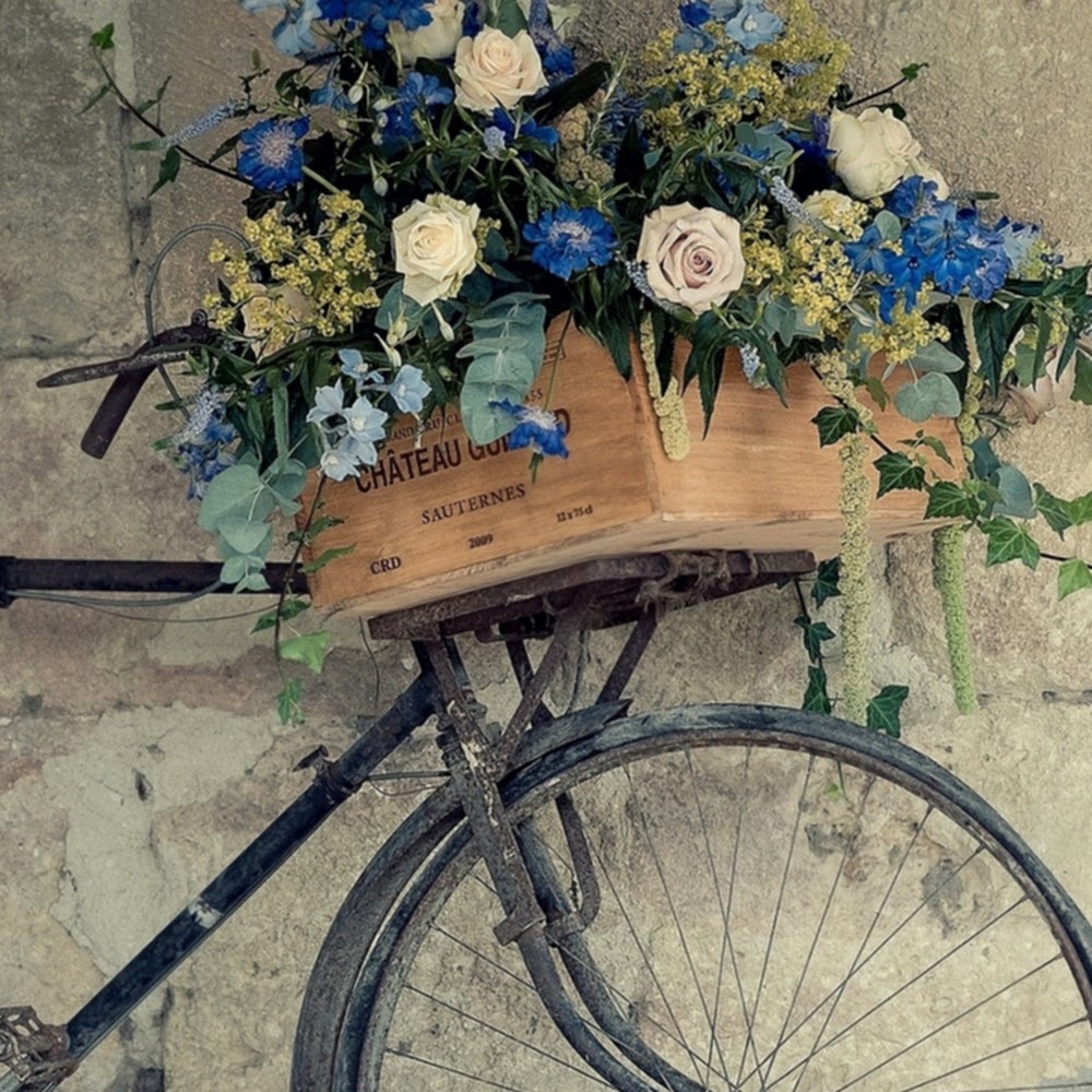 Meet your Posher, Adyson